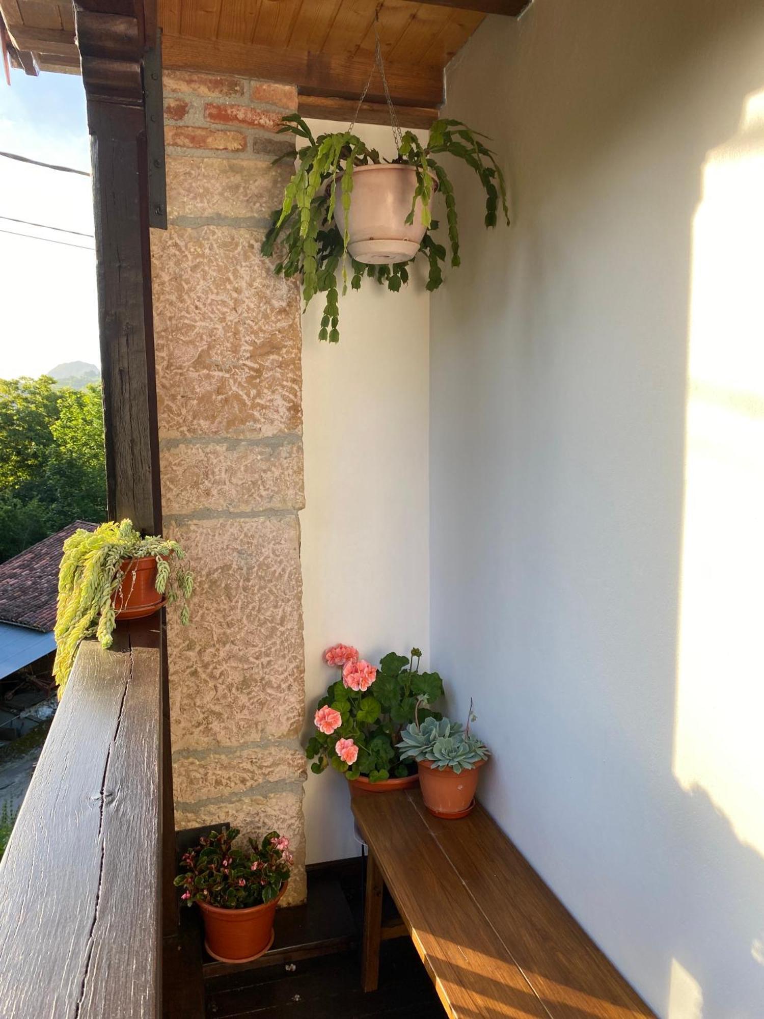 Apartamentos Rurales La Caviana Onís Eksteriør billede